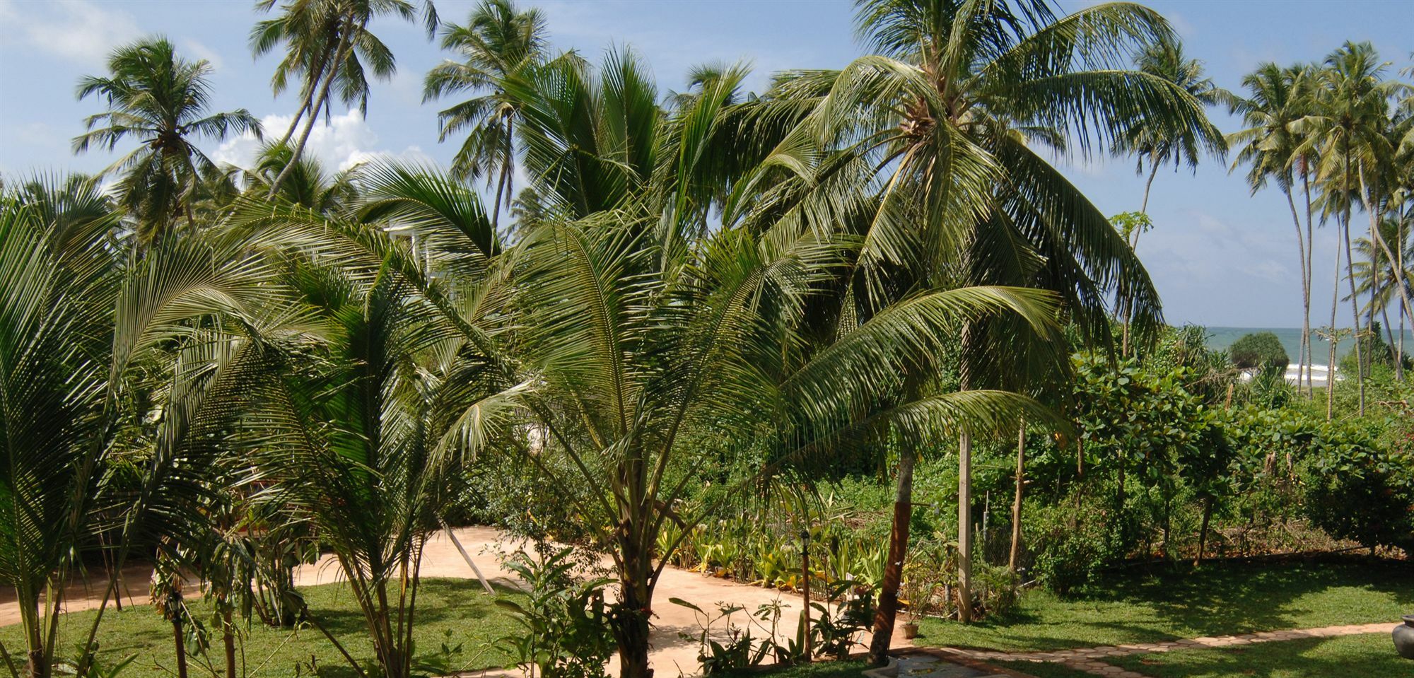 Wunderbar Beach Hotel Bentota Bagian luar foto